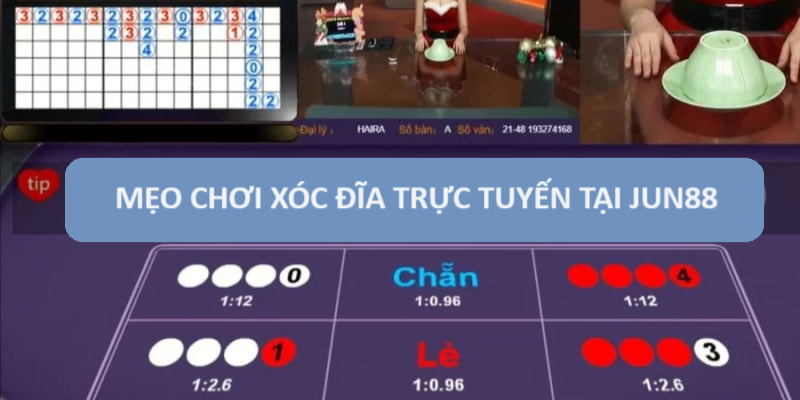 Mẹo chơi Xóc đĩa từ chuyên gia